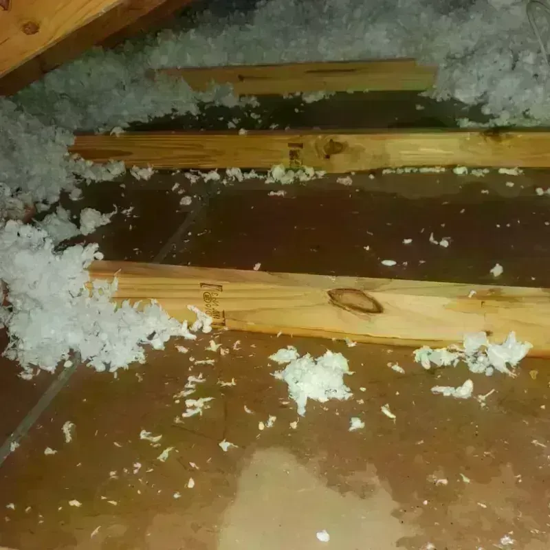 Attic Water Damage in River Edge, NJ